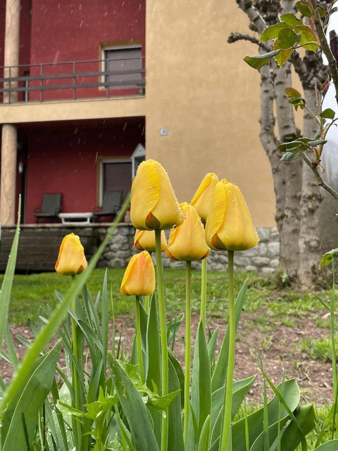 Villa Casita bonita Castejón de Sos Esterno foto